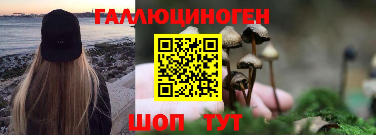 Галлюциногенные грибы GOLDEN TEACHER Вятские Поляны